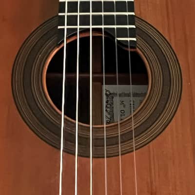 Classical guitar Andrea Tacchi  2013 image 4