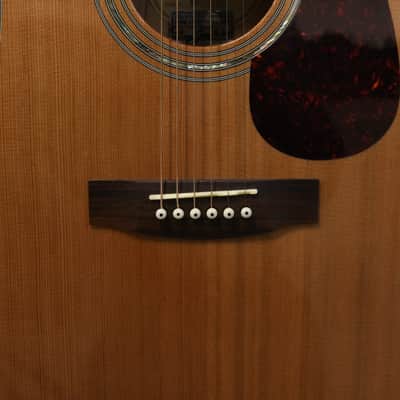 Zager ZAD-80 Acoustic Guitar Signed W/ Case image 6