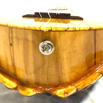 Turtle Shell Tenor Ukulele image 11