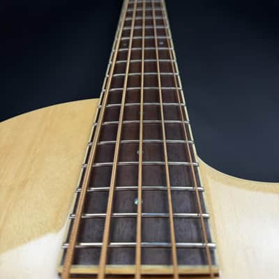 2020 LTD TL-5 Acoustic-Electric Bass - Natural image 4