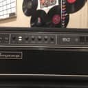 Ampeg Svt cl w/ Travel Case