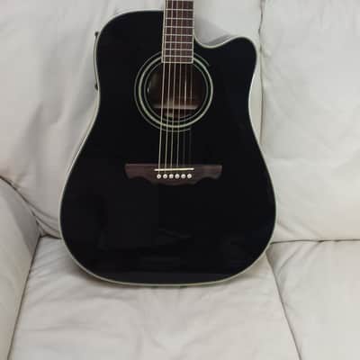 Alvarez AD-60SC Black owned by Eric Bloom image 1