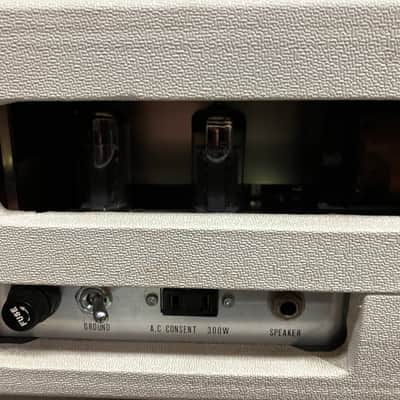 Ace Tone Mighty 5 With Matching Speaker Cabinet image 8