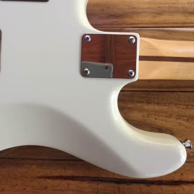 Fender Limited Edition Channel Bound American Professional Stratocaster/Warmoth Swamp Ash Body image 10