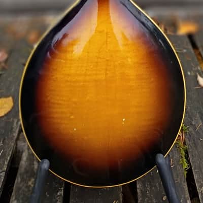 Gibson EM-150 Mandolin 1968 - Sunburst image 5