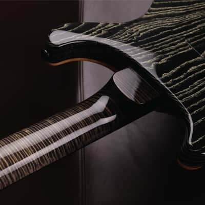 PRS RARE 2016 Private Stock DGT in Frostbite Fade w/Quilt Maple Top, Stained Quilt Maple Fretboard w/Ebony Binding, Flame Maple Neck, Swamp Ash Back with Matching Backplates, Black PRS Tremolo + Phase III Locking Tuners & MOP w/Paua Outline Bird Inlays image 17
