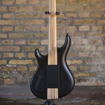 Mayones Regius 7 4-Evertune - Ruud Jolie Spec Custom - Trans Graphite image 7