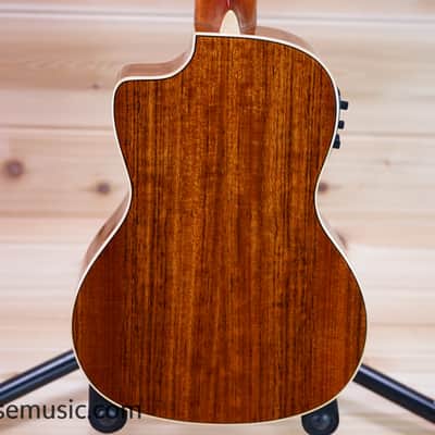 Luna Vista Bear Concert Acoustic-Electric Ukulele image 2