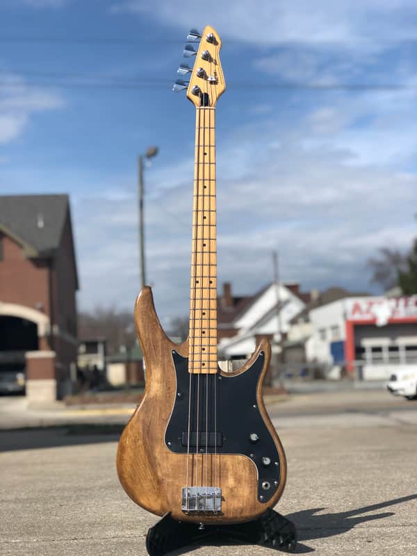 Peavey Patriot Bass | Reverb