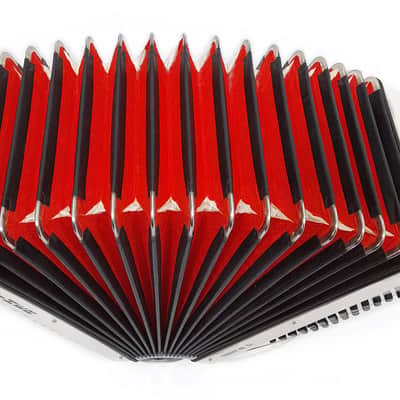 Walther Teeny 48 Bass Lightweight Piano Accordion, German Akkordeon for Beginners Children Kids, Straps, Hard Case, 2697 image 3
