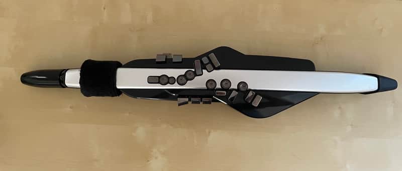 Roland AE-30 Aerophone Pro Digital Wind Instrument 2020 - Present - Silver image 1