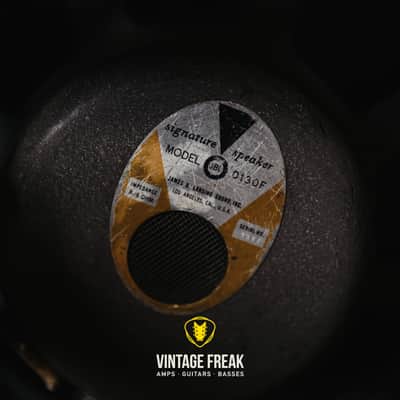 Fender Vibroverb 1964 - Blackface image 13