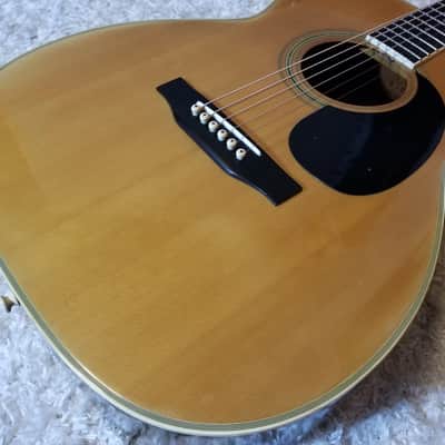 Morris F-25 (Size O.M) | Reverb