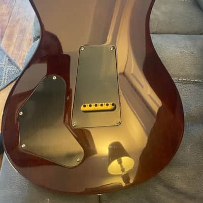 PRS DGT David Grissom Tremolo Signature 2024 Tobacco sunburst image 8