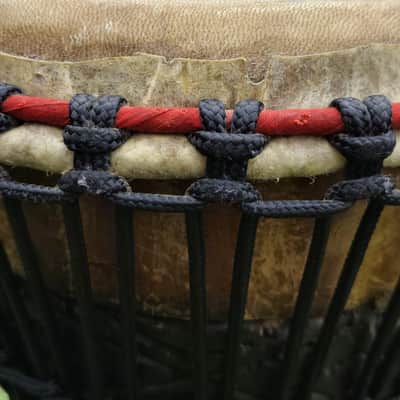 Handmade Professional Djembe - Hand-Carved Solid Wood - 5kg image 5