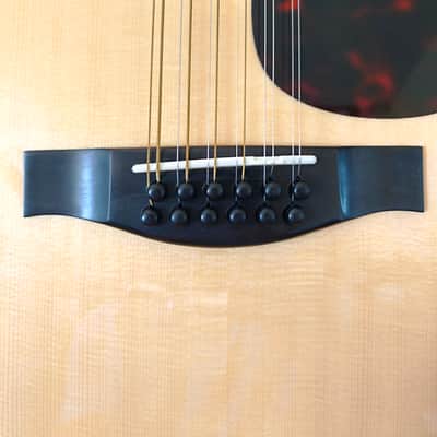 Eastman AC330E-12 - Natural image 4