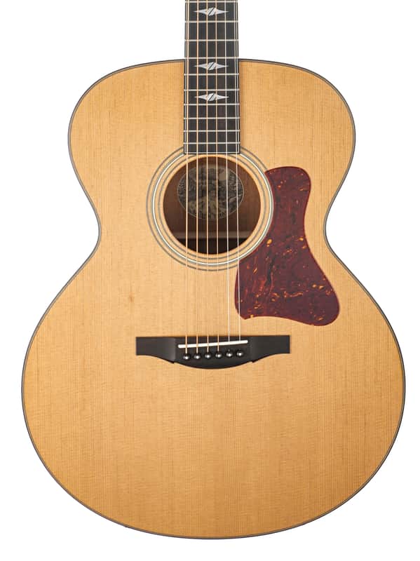 Collings SJ Mh Guitar #36504 image 1
