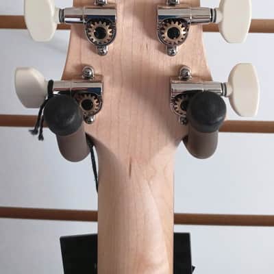 Paul Reed Smith PRS Swamp Ash Special Rosewood Board White Doghair Smokeburst New image 5