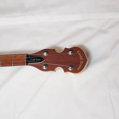 GOLD TONE EB-5 Electric 5-string Banjo NEW W/ Gig Bag image 5