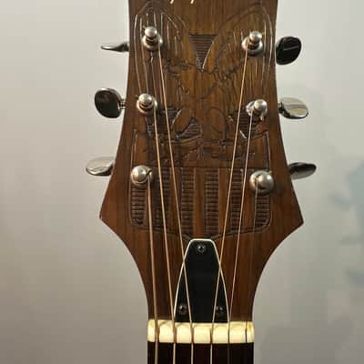 Epiphone FT-200 Bicentennial 1976 - Natural image 1