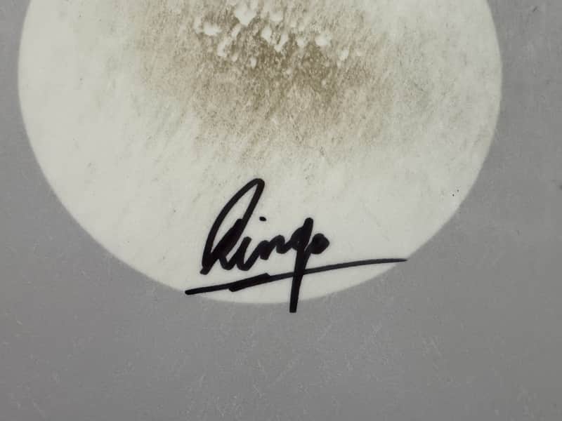 Ringo Starr's Stage Played and Signed 14" Remo Snare Drum Head. Authenticated! image 1