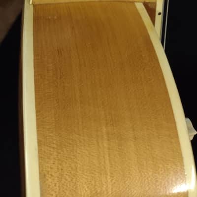 ARCHTOP ELECTRIC GEMTONE 1960'S - NATURAL WOOD image 4