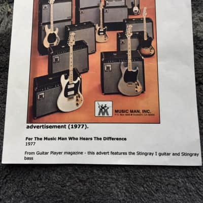 Music Man One Thirthy HD 130 + 212 RH set image 11