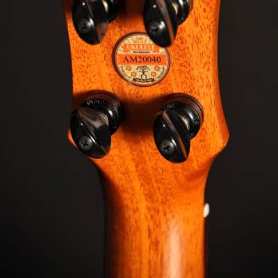 aNueNue Green Bird US110 Soprano 2026 - Natural image 9