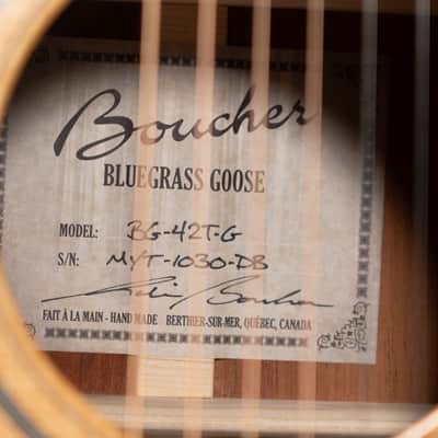 Brand New Boucher Bluegrass Goose BG-42T-G Dreadnaught with Torrefied Adirondack / Torrefied Mahogany! image 19