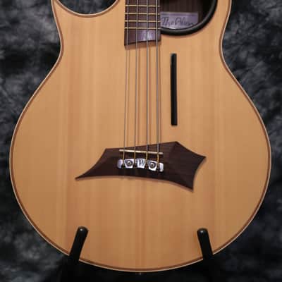 Warwick Alien Acoustic Bass Left Handed image 2