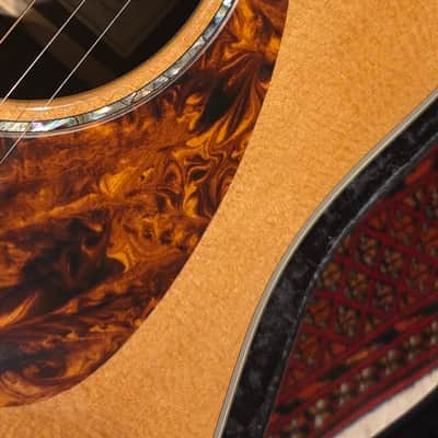 Do Good and Get a Great Breedlove Performance Focus D! image 4