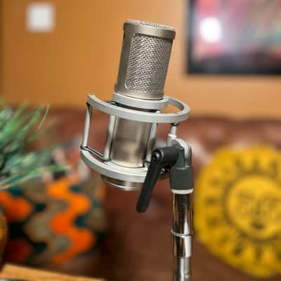 Vintage Brauner Valvet Tube Microphone -2000s - Nickel (elam 251,C12) image 8