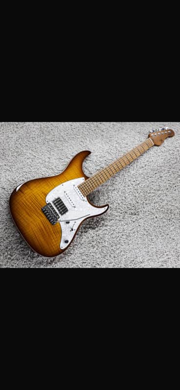 Mayones Aquila 2019 - brownburst | Reverb