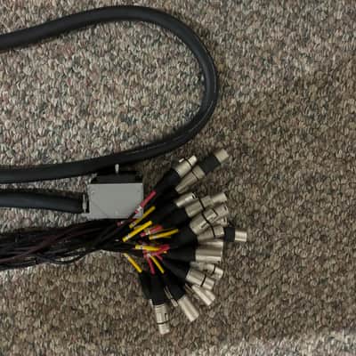 Mogami 32' DL to 12 XLR M and 12 XLR F Snake image 3