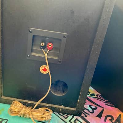 Tannoy PBM-8 Pro Studio Monitors (Pair) w/ Speaker Repair Kit image 5
