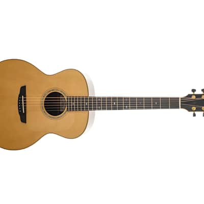 Goodall Mahogany Concert Jumbo Guitar #6199 image 5