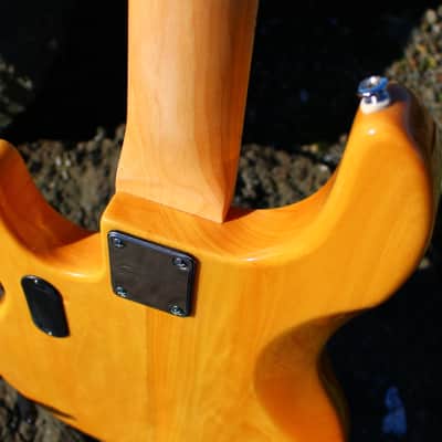 OLP Tony Levin Signature 5-String Bass  Flamed Natural image 19