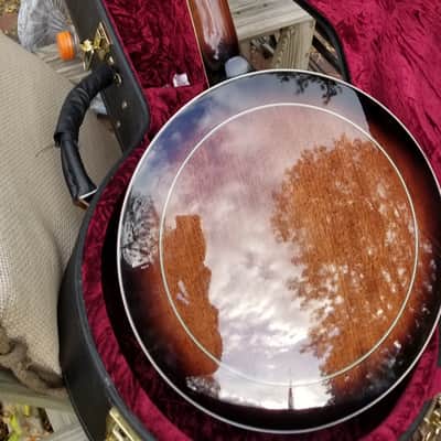Gold Tone 10 string  resonator banjo image 6