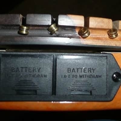 Veillette Paris Lined Fretless image 11