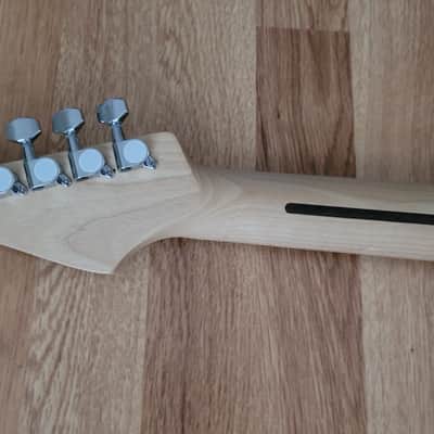 RNC Customs Stratocaster SSS 2026 - Flamingo image 9