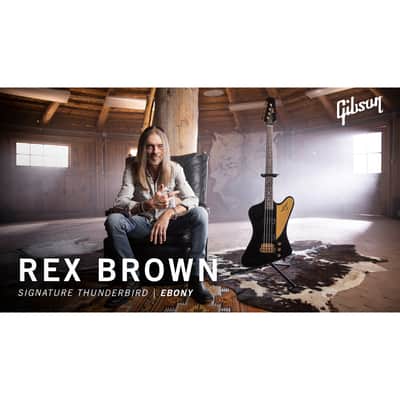 Gibson Rex Brown Pantera Signature Thunderbird Bass image 22