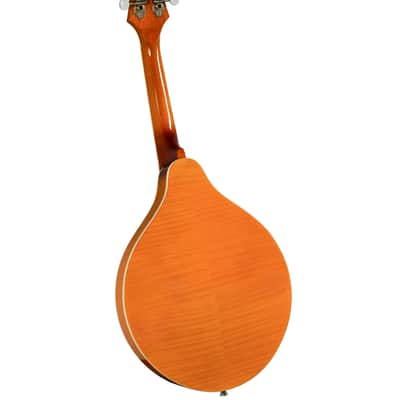 Rover RM-70S Deluxe A-Model Mandolin – Solid Top – Translucent Amber image 2
