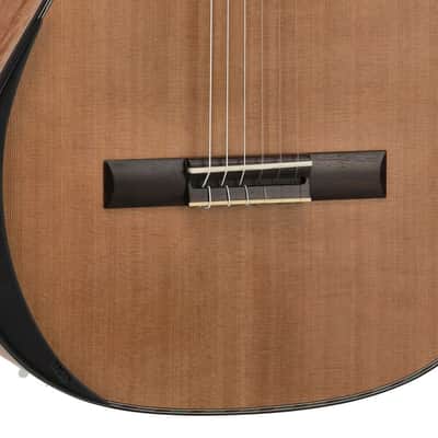 Manuel Rodriguez Tesoro de Camerún Limited Edition Solid Cedar Top & Cedar Neck 6-String Classical Acoustic Guitar w/Hard Case & Footrest image 10