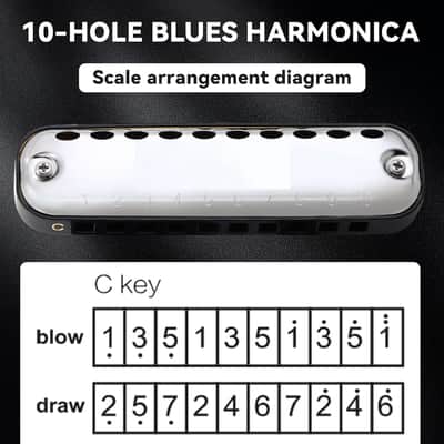 Blues Harmonica for Students Adult Beginners 10 Hole Diatonic Harmonica Key of C, Brass Reed Metal Mouth Organ C Key with Case, Black image 2