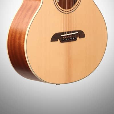 Alvarez LJ2 Little Jumbo Acoustic Guitar (with Gig Bag) image 3