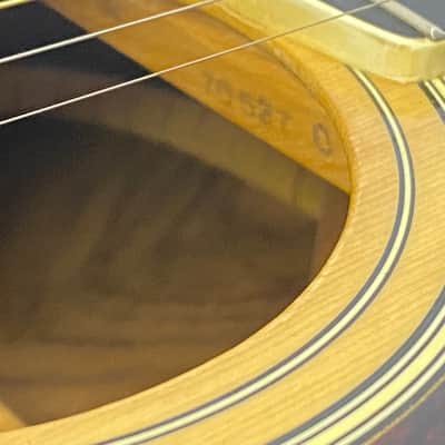 Yamaha FG-251 image 5