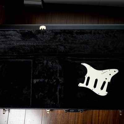 Fender American Professional Stratocaster 2019 USA image 12