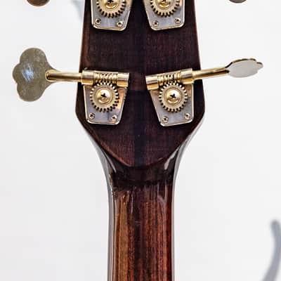 1981 Washburn SB40, SB-40 Bass Tobacco Sunburst (Brown) Neckthrough image 9