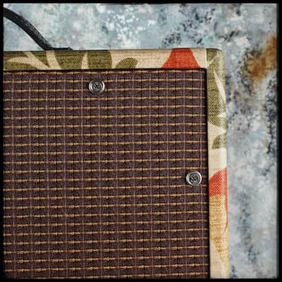 Benson Vinny Reverb Combo - Desert Gertie image 8