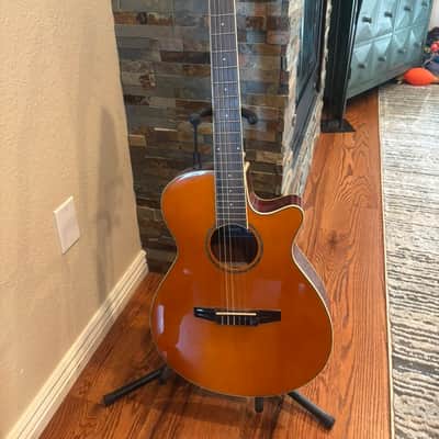 IBANEZ AEG10 (AEG10E, AEG10II) acoustic guitars